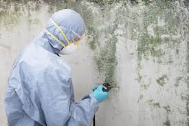 Best Water Damage & Mold Remediation  in Lufkin, TX